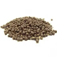 Coriandre graines 25g Coriandre graines 25g