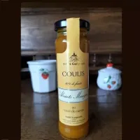 Coulis abricot mangue 160 g Coulis abricot mangue 160 g