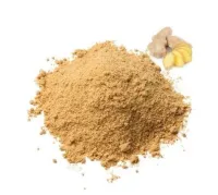 Gingembre moulu 25g Gingembre moulu 25g