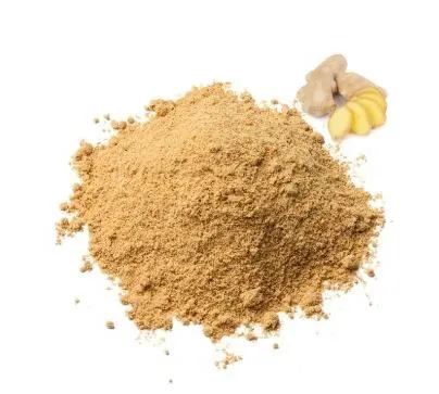 Gingembre moulu 50g 11/25