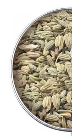 Graine de fenouil 25g 03/26