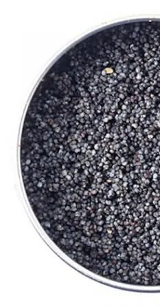 Graine de pavot bleu 50g