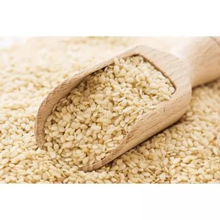 Graine de s&eacute;same blanc 25g 08/25