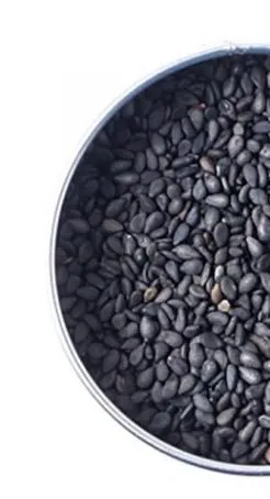 Graine de s&eacute;same noir 75g