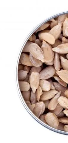 Graine de tournesol 50g