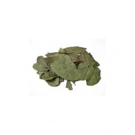 Laurier feuille 10 g