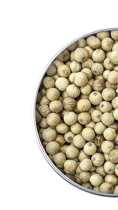 Poivre blanc Cosat Rica - 50 g