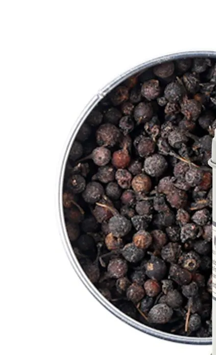 Poivre des Gorilles - 50 g bo&icirc;te