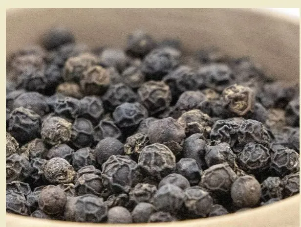 Poivre noir de Pondich&eacute;ry 25g