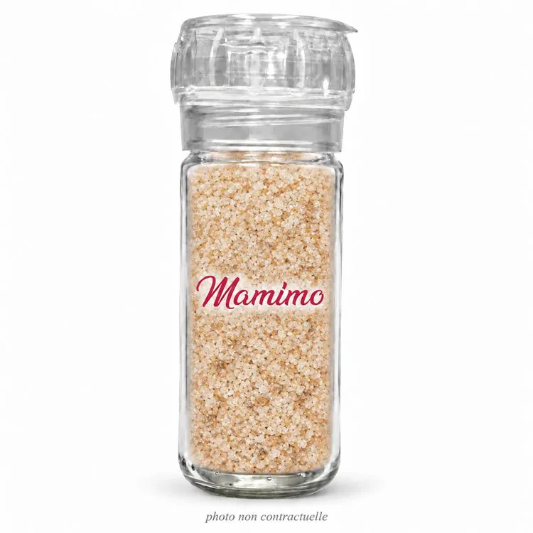 Sel au c&eacute;leri 75g moulin