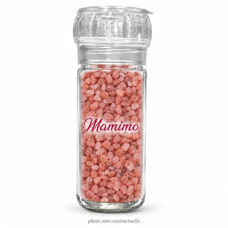 Sel rouge 100g moulin