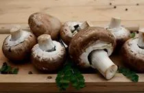 CHAMPIGNON
