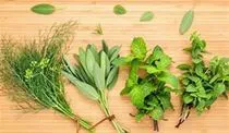 HERBES AROMATIQUES