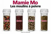 Moulins